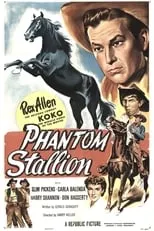 Póster de la película Phantom Stallion