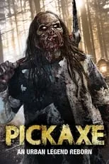 Poster de Pickaxe