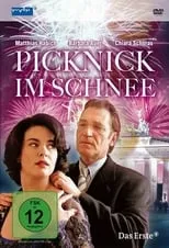 Póster de la película Picknick im Schnee