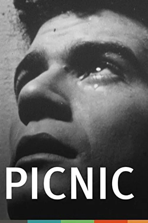 Poster de la película Picnic - Películas hoy en TV