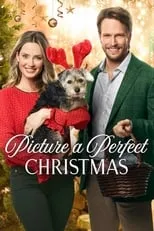 Poster de la película Picture a Perfect Christmas - Películas hoy en TV