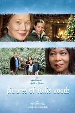 Poster de la película Pictures of Hollis Woods - Películas hoy en TV