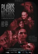 Película Pájaros negros