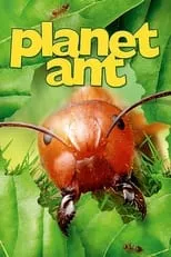 Poster de la película Planet Ant: Life Inside The Colony - Películas hoy en TV