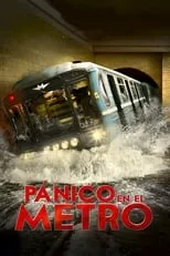 Póster de la película Pánico en el metro