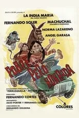 Poster de la película Pobre, pero honrada! - Películas hoy en TV