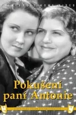 Póster de la película Pokušení paní Antonie