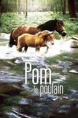 Poster de Pom, le poulain