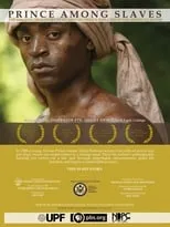 Póster de la película Prince Among Slaves