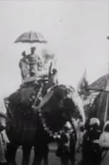 Película Procession of Elephants with Howdahs - India