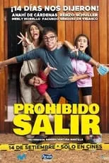 Póster de la película Prohibido salir