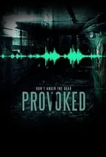 Póster de la película Provoked