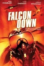 Poster de la película Proyecto Falcon - Películas hoy en TV