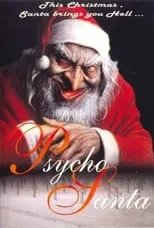 Póster de la película Psycho Santa