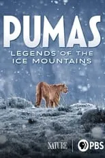 Póster de la película Pumas: Legends of the Ice Mountains