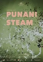 Película Punani Steam