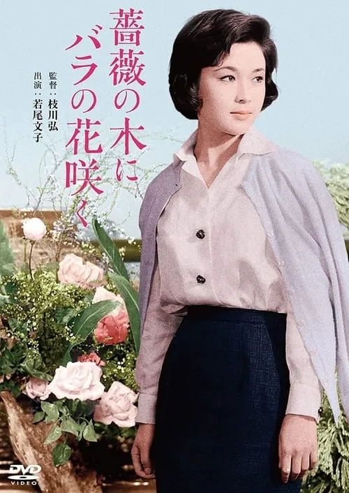 Natsuko Okazaki es  en 薔薇の木にバラの花咲く