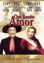 Póster de ¡Qué bonito amor!