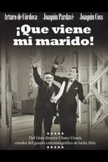 Póster de la película ¡Que viene mi marido!