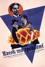 Póster de la película Racek má zpoždění