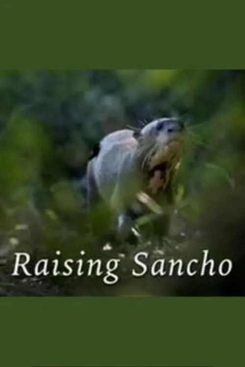 Póster de la película Raising Sancho