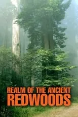 Póster de la película Realm of the Ancient Redwoods