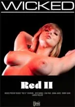 Poster de Red 2