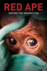 Ivanno Jeremiah interpreta a Narrator en Red Ape: Saving the Orangutan