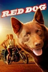 Poster de Red Dog, una historia de lealtad