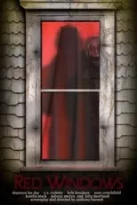 Póster de la película Red Windows