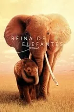 Póster de la película Reina de elefantes