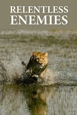 Portada de Relentless Enemies: Revealed