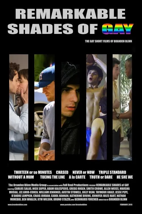 Poster de Remarkable Shades of Gay