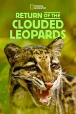 Portada de Return of the Clouded Leopards