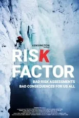 Poster de Risk Factor