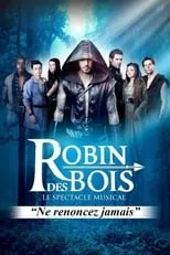 M. Pokora es Robin des Bois en Robin des bois - Le spectacle musical