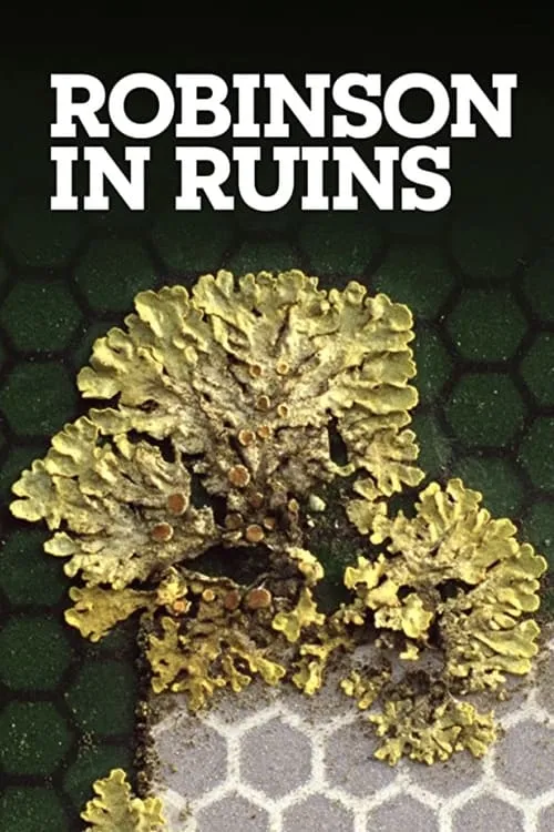 Poster de Robinson in Ruins