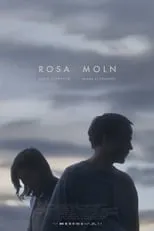 Portada de Rosa moln