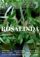 Póster de la película Rosalinda