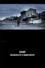 Salvatore Cassano interpreta a Himself en Sandy: Anatomy of a Superstorm