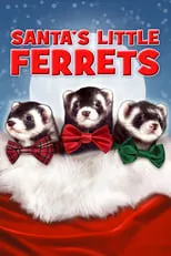 Adam Korson interpreta a Henry Collins en Santa's Little Ferrets