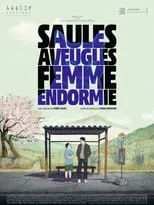 Portada de Saules aveugles, femme endormie