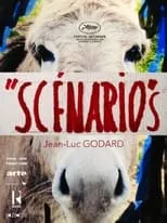 Póster de la película Scénarios