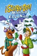 Poster de la película Scooby Doo: Misterio en la nieve - Películas hoy en TV