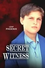 Póster de la película Secret Witness