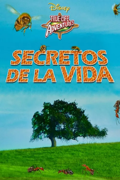 Póster de la película Secretos de la vida