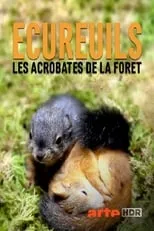 Portada de Secrets of Squirrels