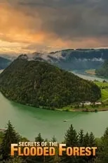 Paul Hollingdale es Narrator en Secrets of the Flooded Forest - Danube National Park