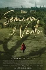 Poster de Semina il vento