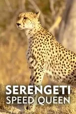 Portada de Serengeti Speed Queen